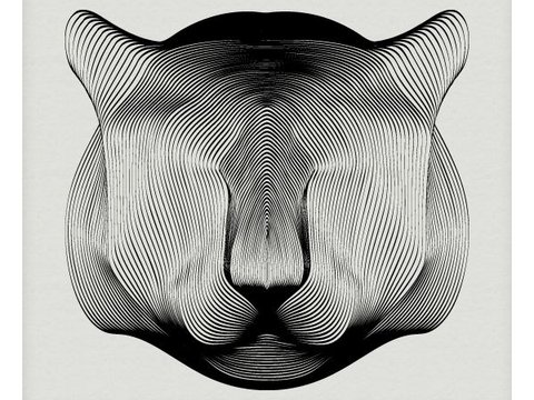 Воcемь вещей в вашем компьютере, которые стоит спрятать