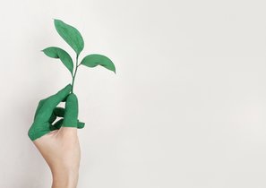 Как вырастить из неопытного стажера сильного руководителя