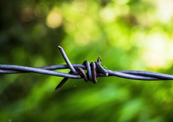 У группы Сбербанка расширяются риски