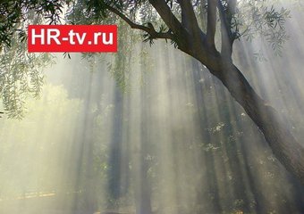 Какие качества надо развивать в себе творческим людям?