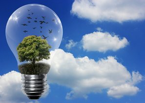 Что я – хуже других? Мысли, с которыми не стоит начинать бизнес