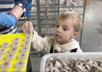 Фабрика игрушек Alatoys взяла на работу 5-летнего тестировщика