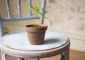 Как вырастить IT-бизнес на собственных потребностях