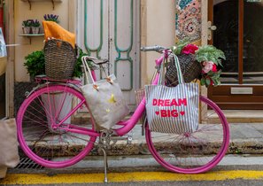 Лига устойчивых леди и джентельменов