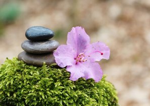 Как мотивировать сменить большую зарплату на интересную задачу?