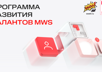 Программа развития талантов MWS: как комплексная система обучения превратила ИТ-компанию в единый центр развития экспертов