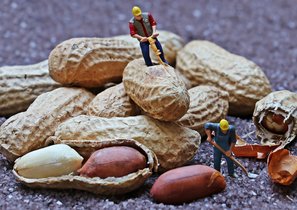 Где искать сотрудника: нестандартные подходы