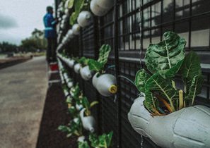 Экологичность бизнеса на страже экологии планеты