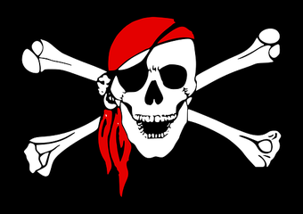 В России впервые пожизненно заблокировали пиратские сайты