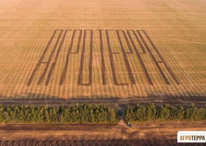 Как «АгроТерра» сделала предложение сотрудникам через фильм