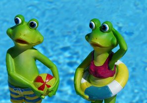 Синдром вареной лягушки, или 7 проблем российского сервиса