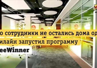 «BeeWINNER – чтобы побеждать!» – программа благополучия для сотрудников компании Билайн