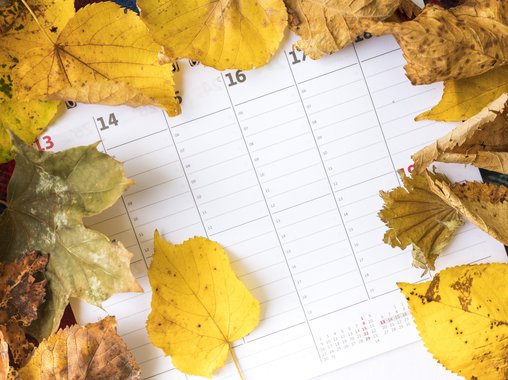 Ноябрь порадует короткой неделей: готовимся к изменению графика