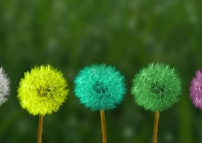 6 способов рекрутеру развить интуицию