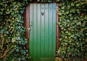 "Кто бы мог подумать, что идея для бизнеса найдется в туалете"