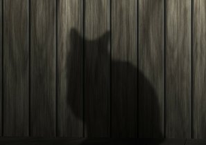 "Сначала появился кот Шмель, потом стартап"