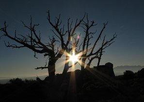 Нас поддержал… бизнес-ангел: как один стартап пересек долину смерти