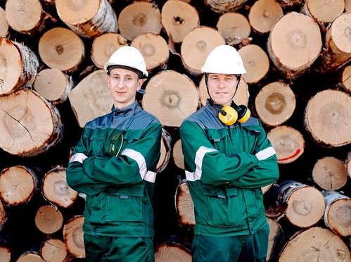 «Свеза» и власти Пермского края запускают подготовку специалистов лесной отрасли