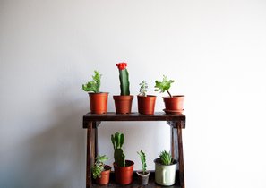 "Но мы делаем не так!" Как менять компанию, чтобы все были за, а не против