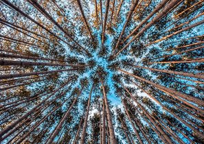 Продажи упали, а резерв сулил 10-кратный рост. Кейс по управлению изменениями