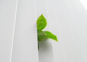 Управление корпоративной социальной ответственностью