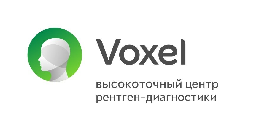 логотип Voxel