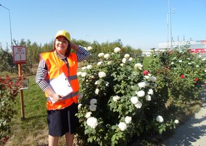 12 золотых правил, которые помогают сохранять здоровье персонала