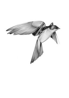 призвание. работа, деятельность