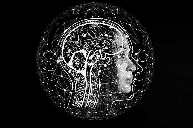 10 быстрых способов заставить мозг работать, Digital PR, Пантелеева Виктория, вопросы hr, быстро включиться в работу, как быстро включиться в работу, способы заставить мозг работать, активировать мозговую активность, активировать мозги, активировать головной мозг