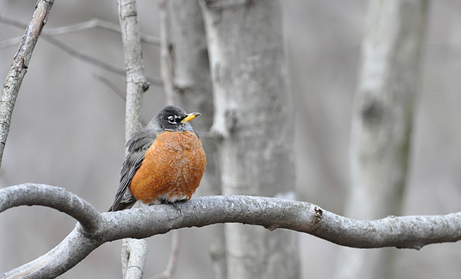 Вы экстраверт и лидер по натуре? Даже если нет, вы можете стать успешными предпринимателем