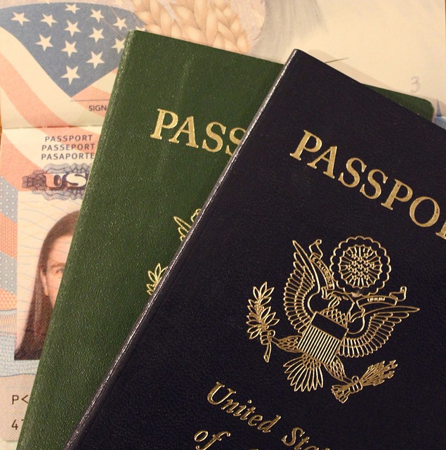 виза, грин кард, эмиграция 