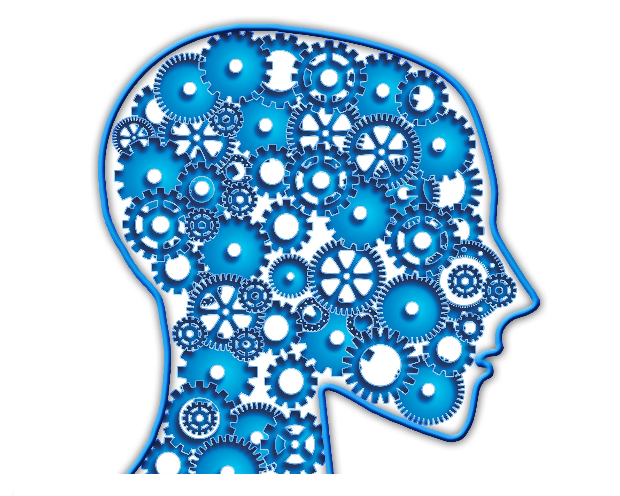 голова, механизм, профиль идеального сотрудника, портрет успешного сотрудника, как составить портрет сотрудника, как составить профиль сотрудника, компетенции, рекрутинг, кандидат, персонал, вакансия, профессионал, ценности компании, оценка персонала, оценка сотрудников, специалисты, должности, ассессмент-центр, индикаторы компетенций, профили должностей, Полина Акулова, директор по персоналу ГК "КорпусГрупп"