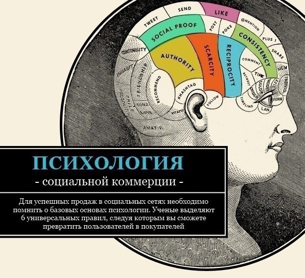 покупка, коммерция. продажи